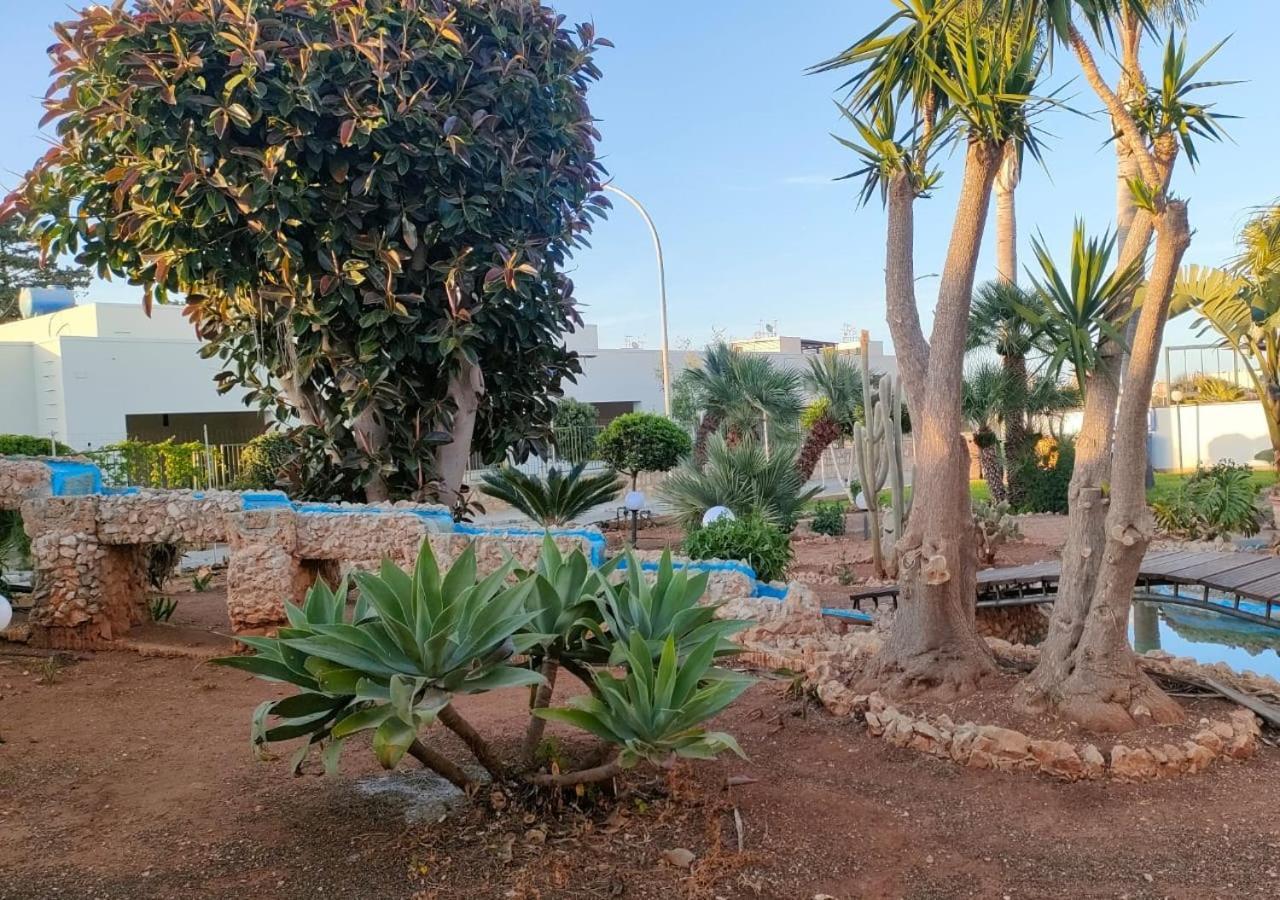 דירות Stella Del Mare סן ויטו לו קאפו מראה חיצוני תמונה